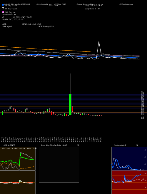 Paringa Resources Limited PNRL Support Resistance charts Paringa Resources Limited PNRL NASDAQ