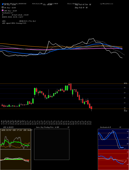 Tuscan Holdings Corp THCB Support Resistance charts Tuscan Holdings Corp THCB NASDAQ
