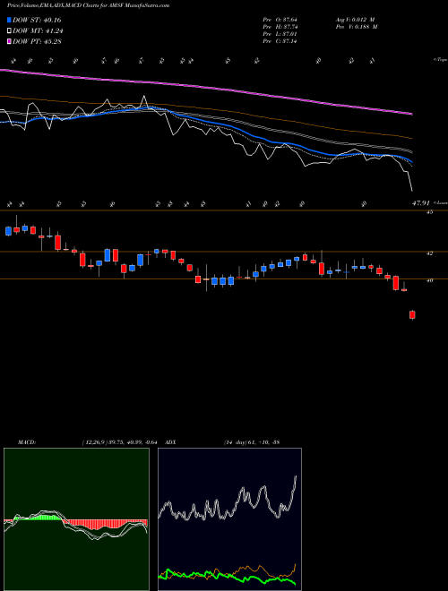 Munafa AMERISAFE, Inc. (AMSF) stock tips, volume analysis, indicator analysis [intraday, positional] for today and tomorrow