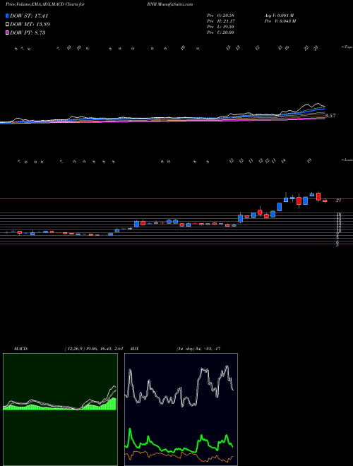 Munafa Burning Rock Biotech Limited ADR (BNR) stock tips, volume analysis, indicator analysis [intraday, positional] for today and tomorrow