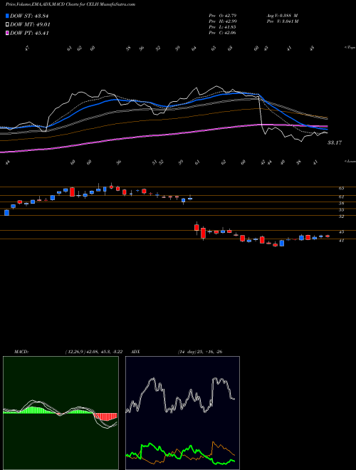 Munafa Celsius Holdings, Inc. (CELH) stock tips, volume analysis, indicator analysis [intraday, positional] for today and tomorrow