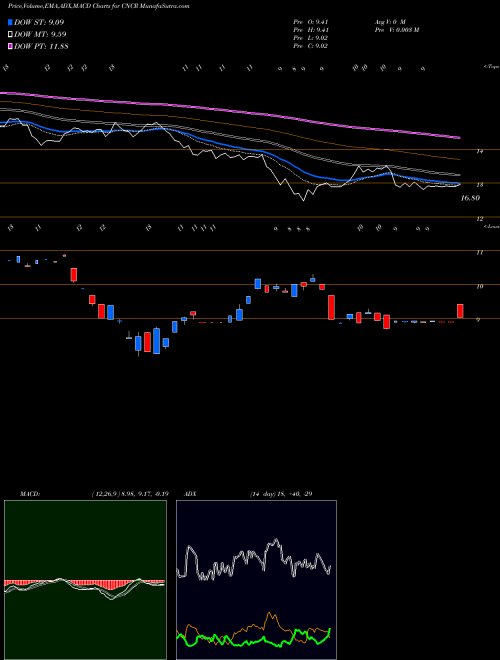 Munafa Loncar Cancer Immunotherapy ETF (CNCR) stock tips, volume analysis, indicator analysis [intraday, positional] for today and tomorrow