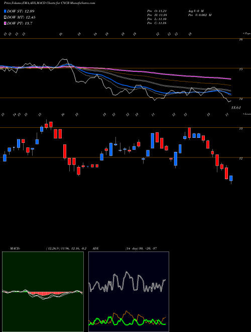 MACD charts various settings share CNCR Loncar Cancer Immunotherapy ETF NASDAQ Stock exchange 