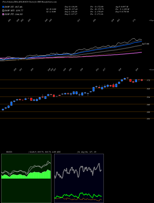 Munafa IShares Nasdaq Biotechnology Index Fund (IBB) stock tips, volume analysis, indicator analysis [intraday, positional] for today and tomorrow