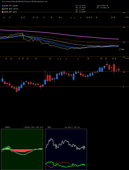 Munafa Icahn Enterprises L.P. (IEP) stock tips, volume analysis, indicator analysis [intraday, positional] for today and tomorrow