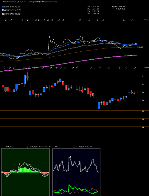 Munafa Merus N.V. (MRUS) stock tips, volume analysis, indicator analysis [intraday, positional] for today and tomorrow