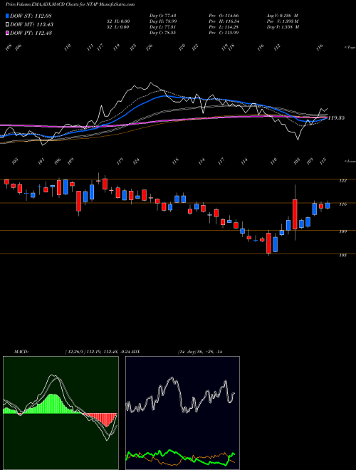 Munafa NetApp, Inc. (NTAP) stock tips, volume analysis, indicator analysis [intraday, positional] for today and tomorrow