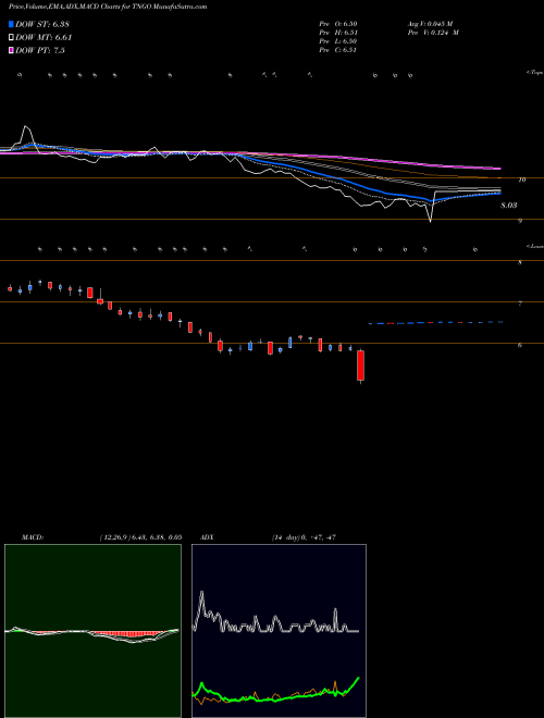 Munafa Tangoe, Inc. (TNGO) stock tips, volume analysis, indicator analysis [intraday, positional] for today and tomorrow