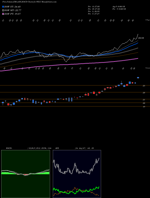 Munafa G. Willi-Food International,  Ltd. (WILC) stock tips, volume analysis, indicator analysis [intraday, positional] for today and tomorrow