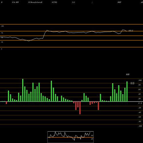 RSI & MRSI charts Big Rock Partners Acquisition Corp. BRPAR share NASDAQ Stock Exchange 
