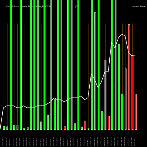 Money Flow charts share CNAT Conatus Pharmaceuticals Inc. NASDAQ Stock exchange 