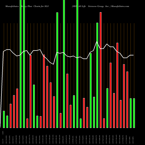 Money Flow charts share SLS SELLAS Life Sciences Group, Inc.  NASDAQ Stock exchange 