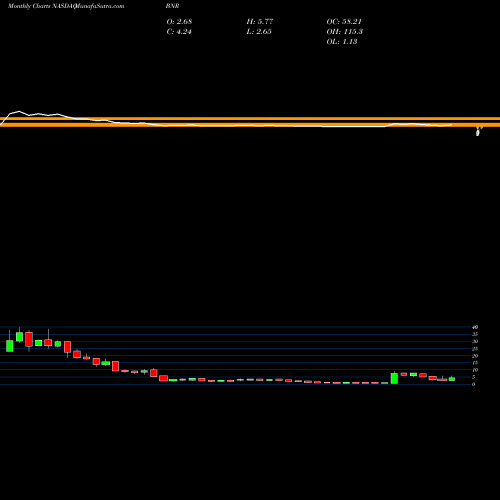 Monthly charts share BNR Burning Rock Biotech Limited ADR NASDAQ Stock exchange 