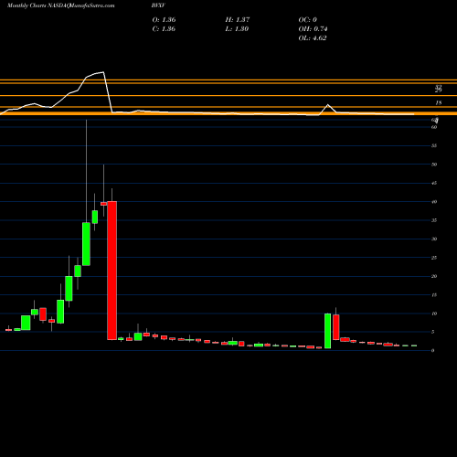 Monthly charts share BVXV BiondVax Pharmaceuticals Ltd. NASDAQ Stock exchange 
