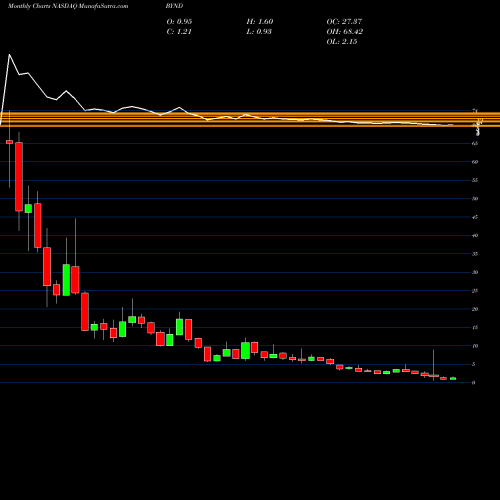 Monthly charts share BYND Beyond Meat Inc NASDAQ Stock exchange 