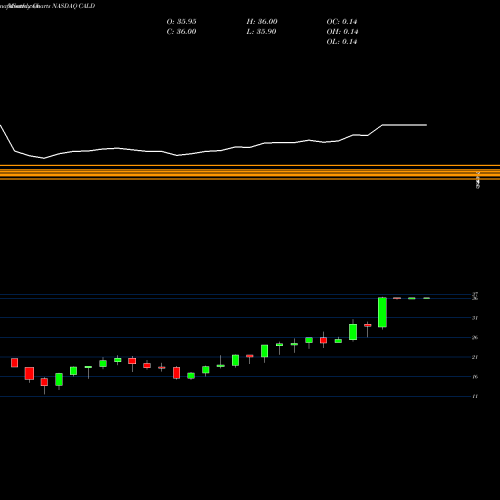 Monthly charts share CALD Callidus Software, Inc. NASDAQ Stock exchange 