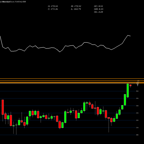 Monthly charts share IBB IShares Nasdaq Biotechnology Index Fund NASDAQ Stock exchange 