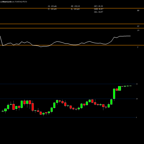 Monthly charts share PLYA Playa Hotels & Resorts N.V. NASDAQ Stock exchange 