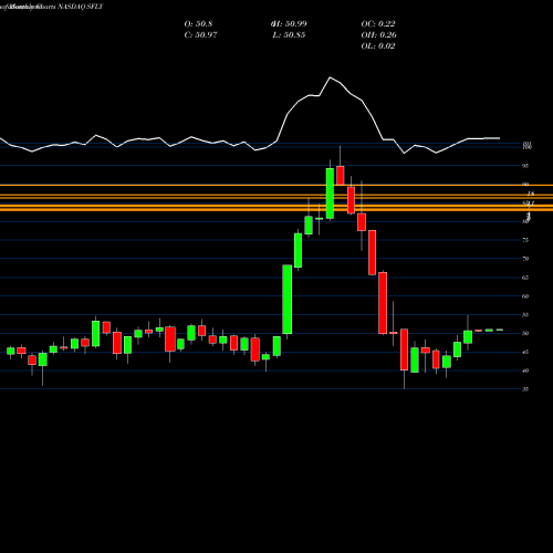 Monthly charts share SFLY Shutterfly, Inc. NASDAQ Stock exchange 