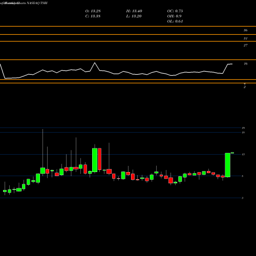 Monthly charts share TSRI TSR, Inc. NASDAQ Stock exchange 