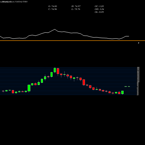 Monthly charts share TSRO TESARO, Inc. NASDAQ Stock exchange 