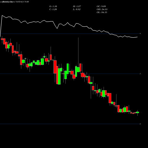 Monthly charts share UNAM Unico American Corporation NASDAQ Stock exchange 