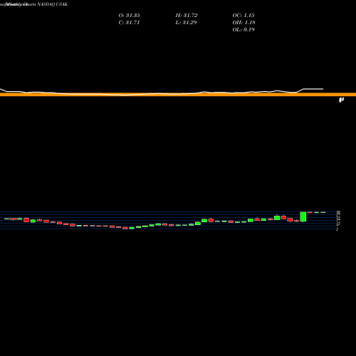 Monthly charts share USAK USA Truck, Inc. NASDAQ Stock exchange 