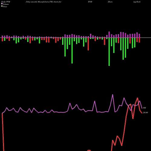PVM Price Volume Measure charts Burning Rock Biotech Limited ADR BNR share NASDAQ Stock Exchange 