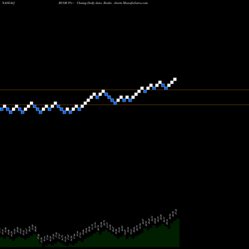 Free Renko charts Blucora, Inc. BCOR share NASDAQ Stock Exchange 