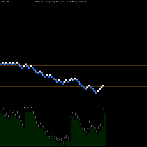 Free Renko charts BIO-key International, Inc. BKYI share NASDAQ Stock Exchange 