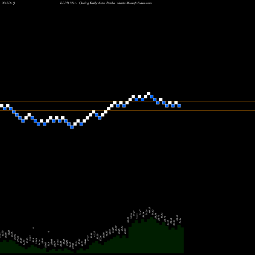 Free Renko charts Blue Bird Corporation BLBD share NASDAQ Stock Exchange 