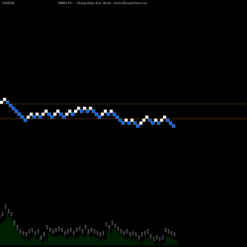 Free Renko charts Biomerica, Inc. BMRA share NASDAQ Stock Exchange 