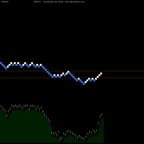 Free Renko charts Burning Rock Biotech Limited ADR BNR share NASDAQ Stock Exchange 