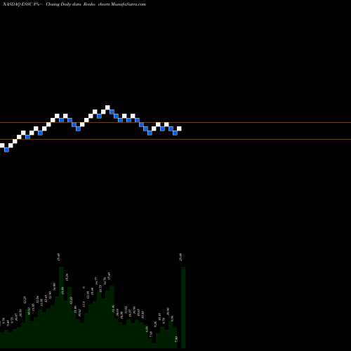 Free Renko charts East Stone Acquisition Corp ESSC share NASDAQ Stock Exchange 