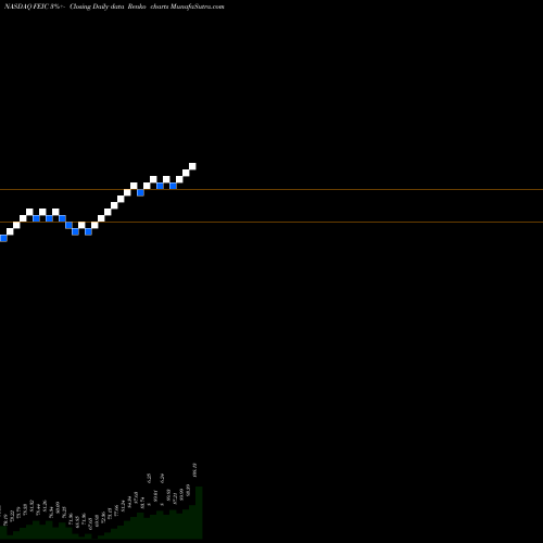 Free Renko charts FEI Company FEIC share NASDAQ Stock Exchange 