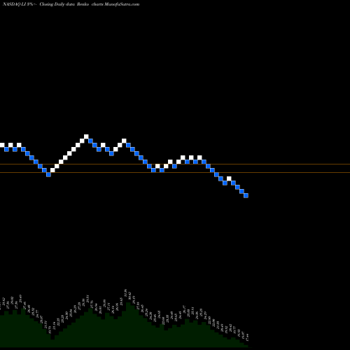 Free Renko charts Li Auto Inc ADR LI share NASDAQ Stock Exchange 