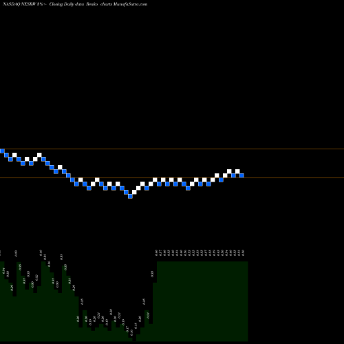 Free Renko charts National Energy Services Reunited Corp. NESRW share NASDAQ Stock Exchange 