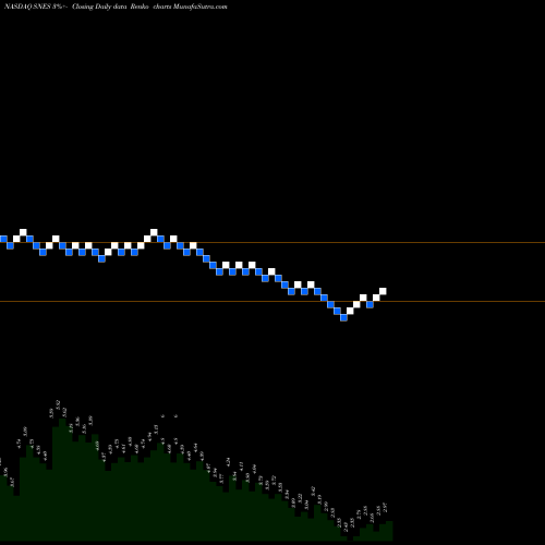 Free Renko charts SenesTech, Inc. SNES share NASDAQ Stock Exchange 