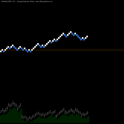 Free Renko charts Stonex Group Inc SNEX share NASDAQ Stock Exchange 
