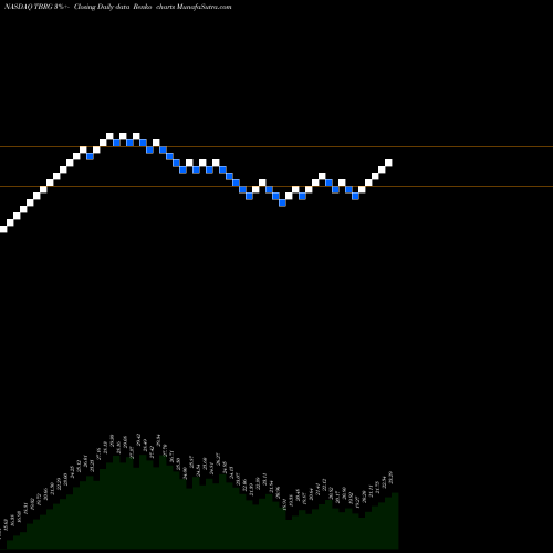 Free Renko charts Thunder Bridge Acquisition, Ltd. TBRG share NASDAQ Stock Exchange 
