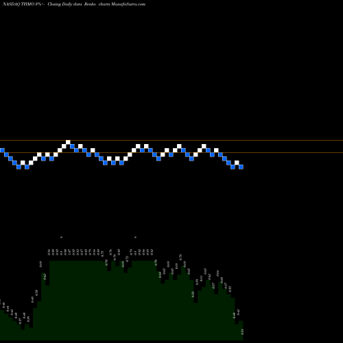 Free Renko charts Thermogenesis Holdings Inc THMO share NASDAQ Stock Exchange 