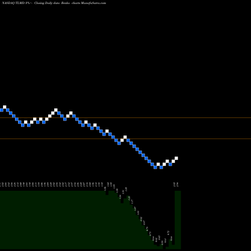 Free Renko charts Telemed Inc TLMD share NASDAQ Stock Exchange 