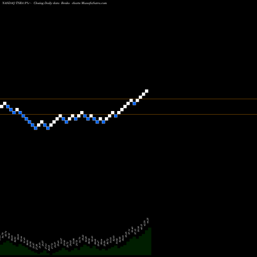 Free Renko charts Tessera Technologies, Inc. TSRA share NASDAQ Stock Exchange 