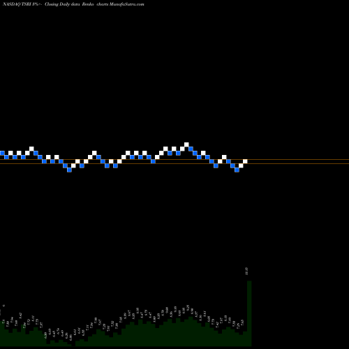 Free Renko charts TSR, Inc. TSRI share NASDAQ Stock Exchange 