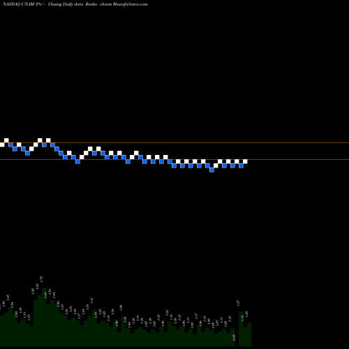 Free Renko charts Unico American Corporation UNAM share NASDAQ Stock Exchange 