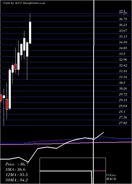  monthly chart AlicoInc