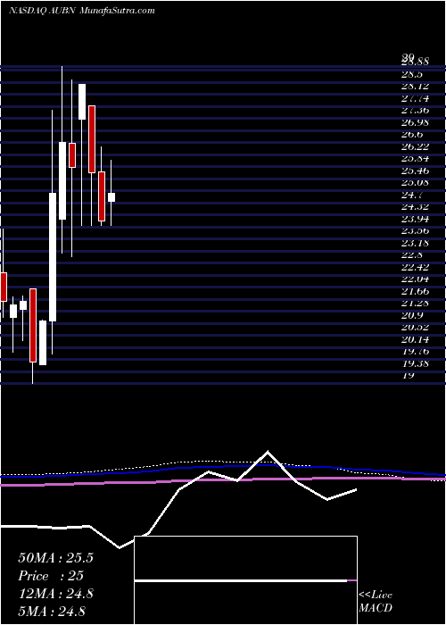  monthly chart AuburnNational