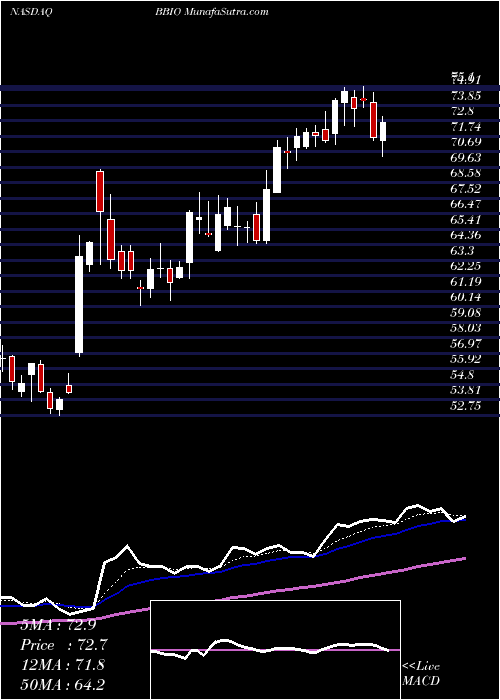  Daily chart BridgebioPharma