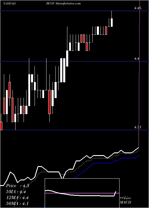  Daily chart BrightcoveInc