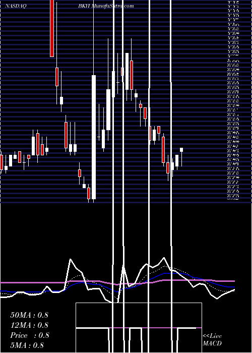  Daily chart BIO-key International, Inc.